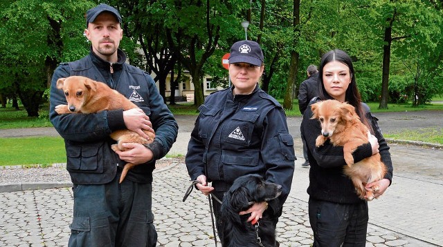 Krzysztof Pabian, Klaudia Wielgus i Paulina Rojek uratowane  psiaki  przekazali do azylu