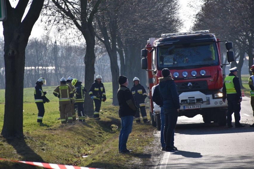 Kierowca samochodu zginął na miejscu