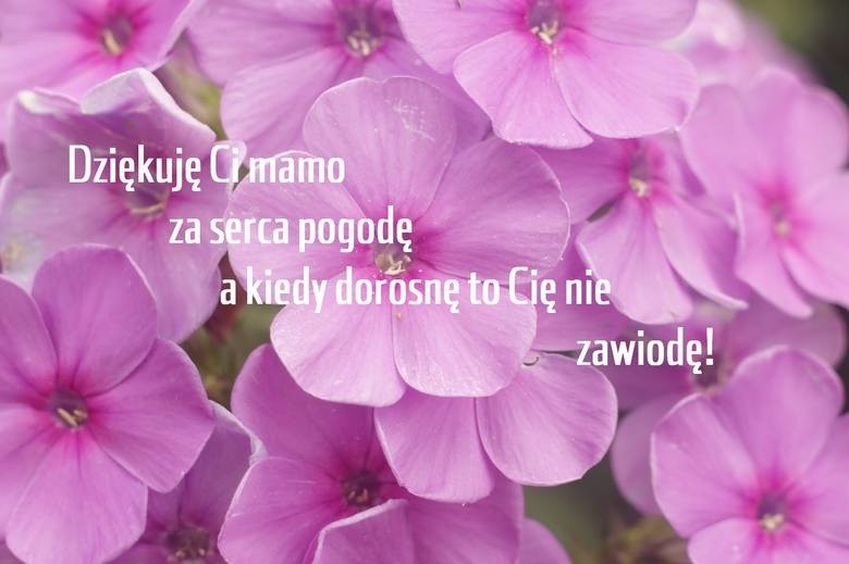 ŻYCZENIA NA DZIEŃ MATKI 2019: poważne, zabawne, sms,...