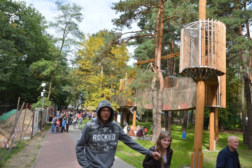 Stalowa Wola. Atrakcyjna wspinaczka po parku linowym na Jesiennym Pikniku [ZDJĘCIA]