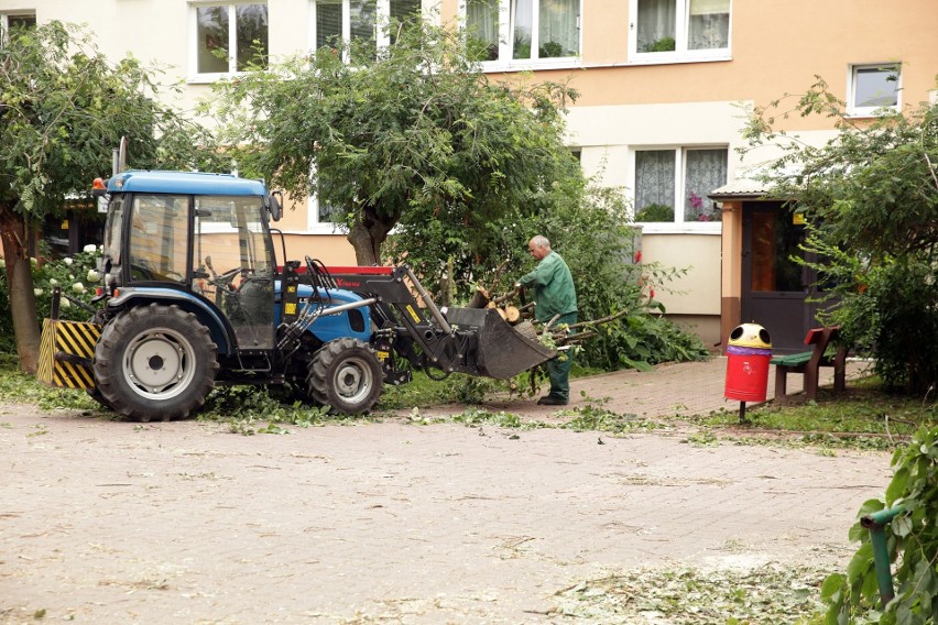 Lublin ciągle usuwa skutki nawałnicy. Prawie 1500 zgłoszeń o połamanych drzewach, co najmniej 100 uszkodzonych samochodów