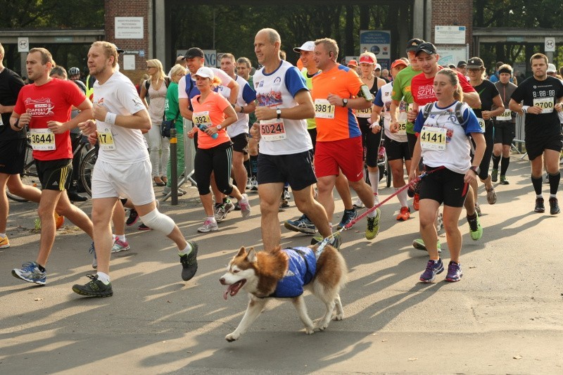 Maraton Wrocław 2014. Kenijczycy zdominowali bieg. Kangogo blisko rekordu (WYNIKI, ZDJĘCIA)