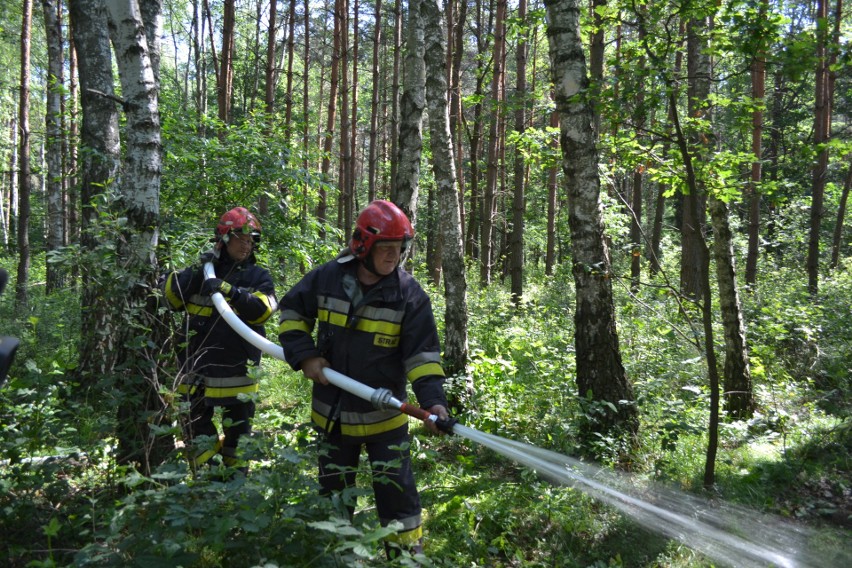 Symulowany pożar lasu. Strażacy z Mysłowic ćwiczyli w Ławkach ZDJĘCIA