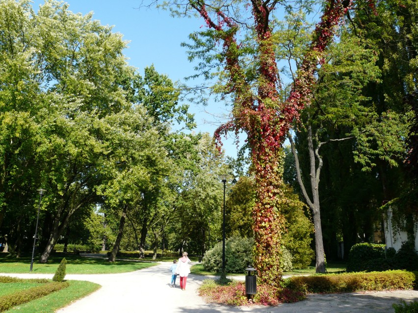 Jesienny park Słowackiego w Pabianicach ZDJĘCIA