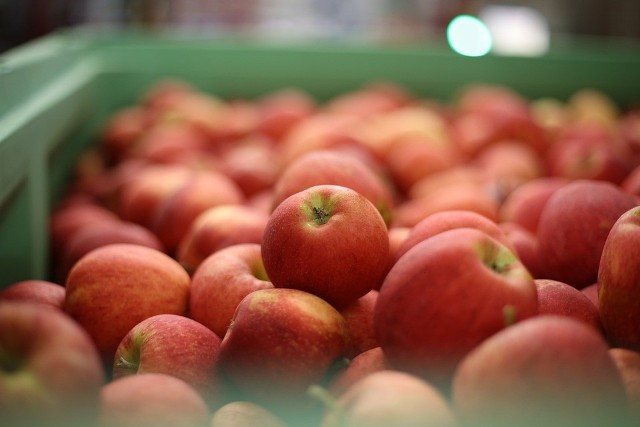 W chłodniach w całym  kraju zalega 700 tysięcy ton jabłek.