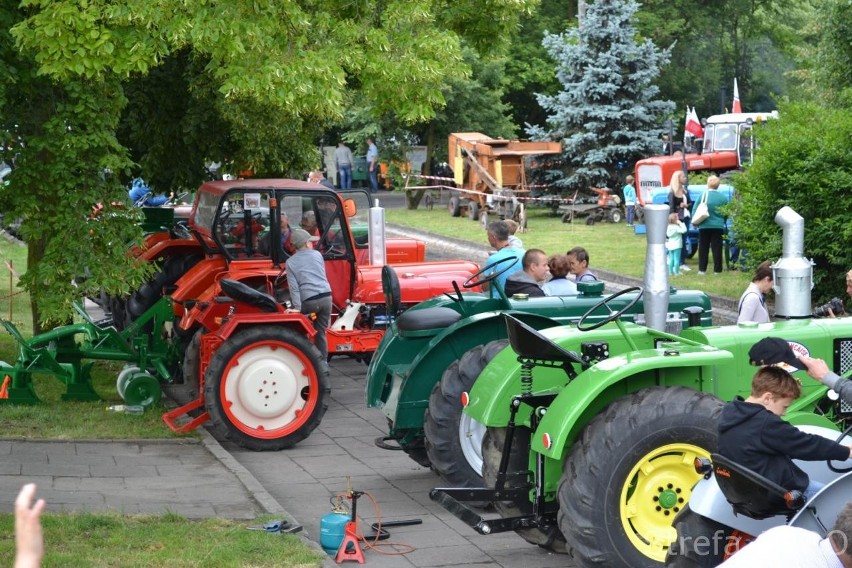 Czar starego ciągnika. 65 traktorów na wystawie w Golubiu-Dobrzyniu [zdjęcia]
