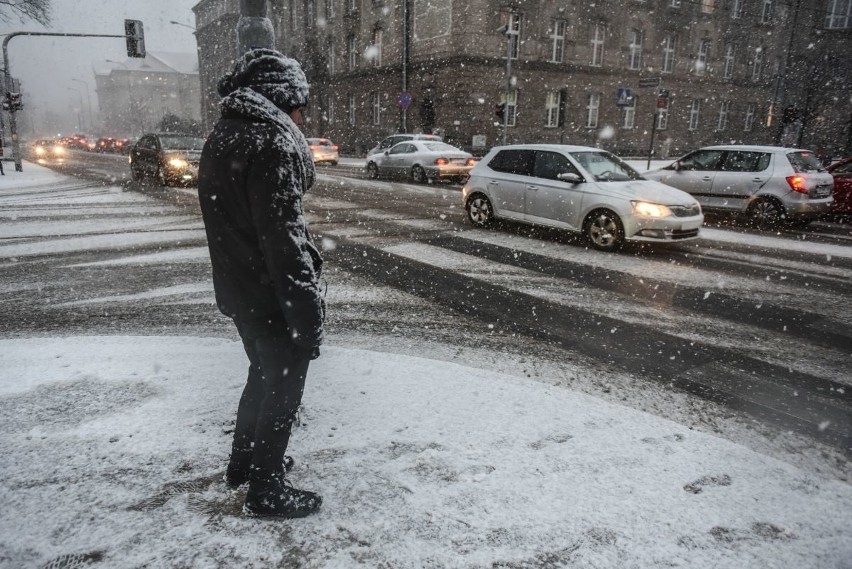 Śnieżyca w Poznaniu. Zasypało całe miasto