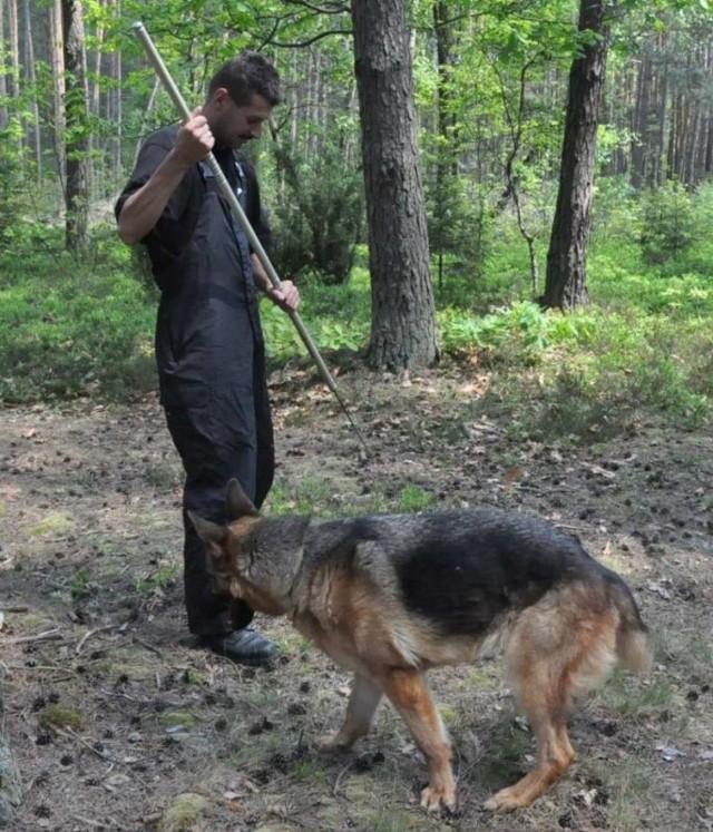 Do poszukiwań zwłok sprowadzono specjalnie przeszkolonego psa z przewodnikiem aspirantem Krzysztofem Przybyłą z Komendy Wojewódzkiej w Katowicach.
