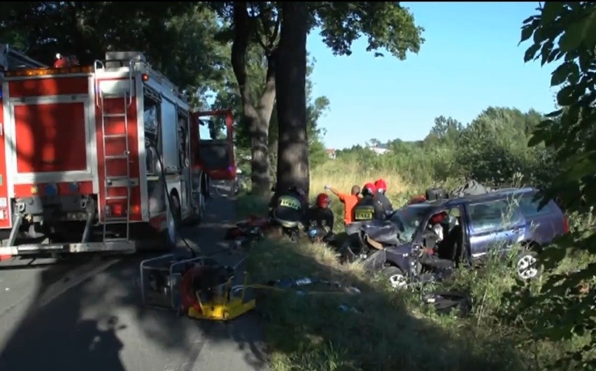 Wypadek pod Kamienną Górą. Samochód uderzył w drzewo, 4 osoby ranne (FILM, ZDJĘCIA)