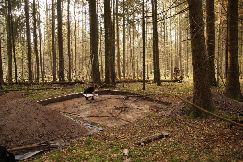 W Puszczy Białowieskiej szukają śladów życia sprzed wieków. Badają cmentarzysko kurhanowe (zdjęcia)