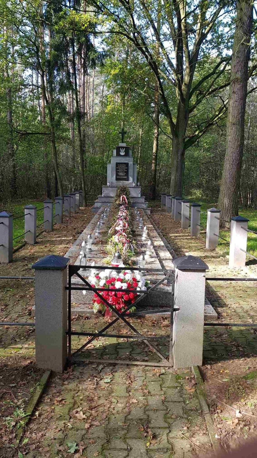 Nadleśnictwo Płock | Pomnik 64. żołnierzy polskich poległych we wrześniu 1939 r. w Kozłowie