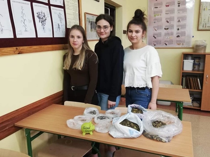 Łyse. Uczniowie ZSP w Łysych wzięli udział w akcji "Góra grosza". Zebrali 20 kilogramów monet
