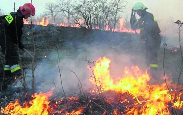 Podczas pożaru traw ogień rozprzestrzenia się bardzo szybko.