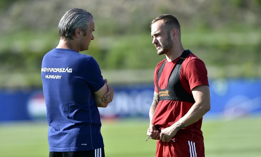 Euro 2016: Mecz Węgry - Belgia. Gdzie oglądać w telewizji?