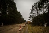 Trasa Niepodległości. Budowa trwa. Wycięli setki drzew, aby budować drogę (zdjęcia)