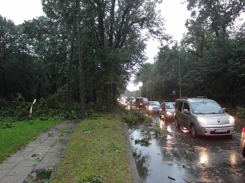 Burza w Łodzi. Nawałnica nad Łodzią. Powalone drzewa, gałęzie na drogach, zalane ulice [ZDJĘCIA]