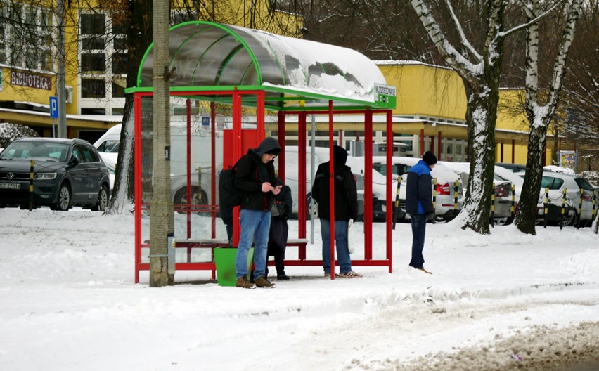 Atak zimy czy jednak bajkowa sceneria w Lublinie? Zobacz zdjęcia i zdecyduj