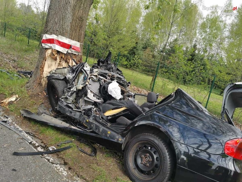 Śmiertelny wypadek w rejonie Śląskiego Ogrodu Botanicznego.