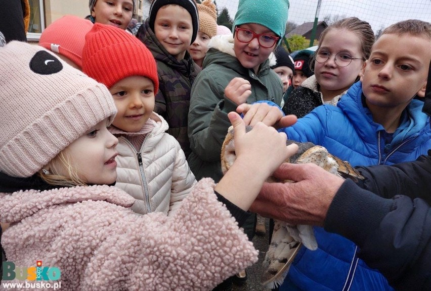 Dzieci z Dobrowody miały lekcję z... myszołowem. Wyleczony ptak odzyskał wolność. Zdjęcia