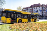 Śląskie: ZTM udostępnił na stronie rzeczywiste godziny odjazdów autobusów i tramwajów