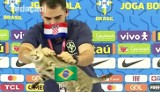 MŚ 2022. Strąceni jak kot na konferencji. Najlepsze memy po ćwierćfinale Brazylia - Chorwacja