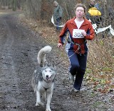 400 psów na mistrzostwach psich zaprzęgów w Kędzierzynie-Koźlu