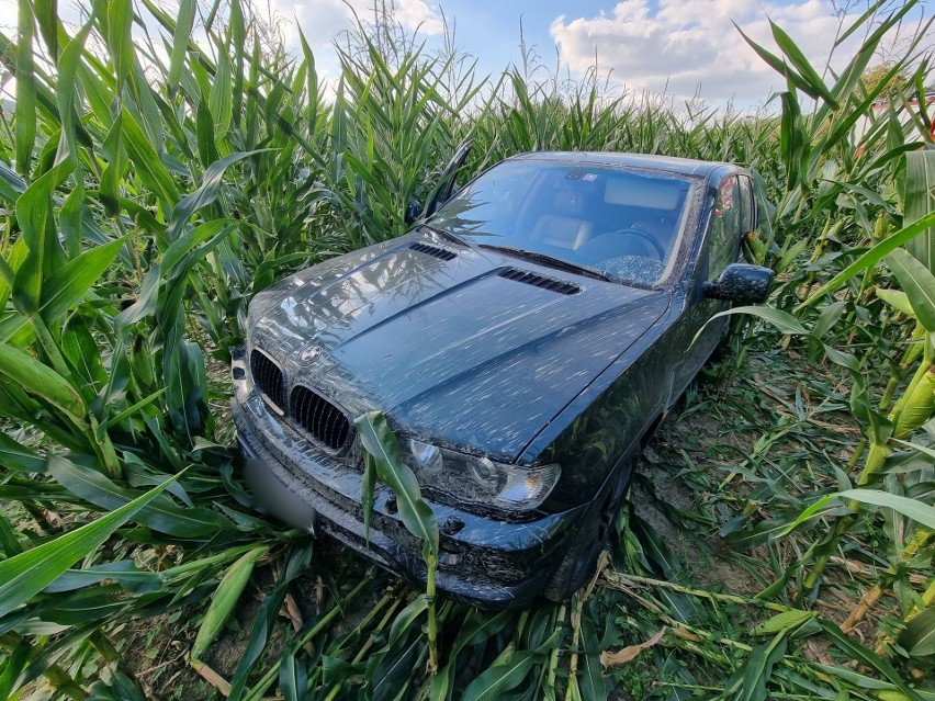 Zderzenie dwóch samochodów osobowych w Krzywczy na drodze wojewódzkiej nr 884 [ZDJĘCIA]