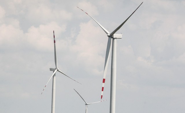 W Polsce w zakresie wytwarzania prądu z OZE największą rolę odgrywają elektrownie wiatrowe. Na drugim miejscu znajduje się fotowoltaika.