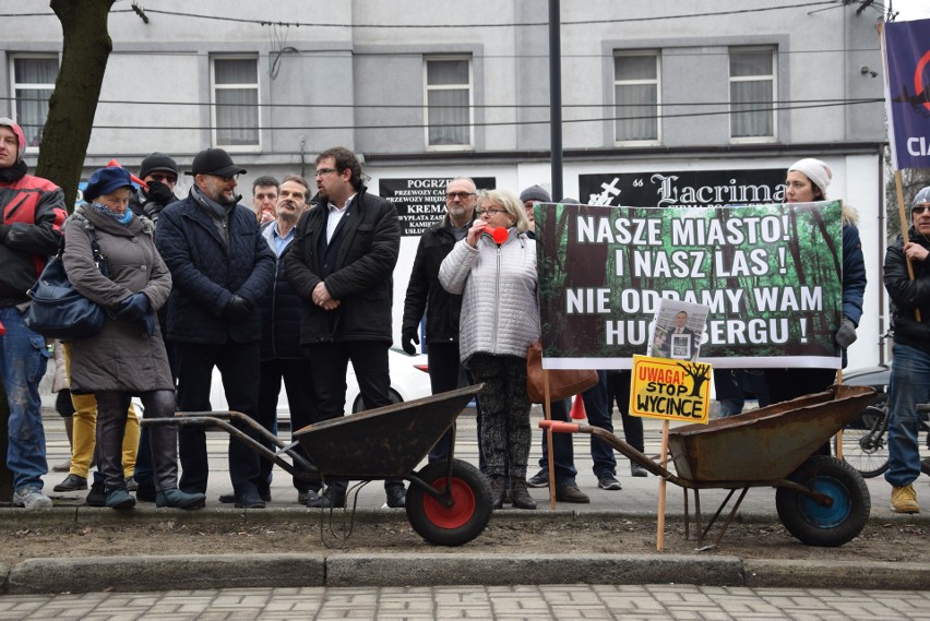 Protest przed urzędem w Świętochłowicach przeciwko wycince...