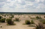 Pustynia Błędowska, czyli „polska Sahara”. Poznaj najważniejsze informacje na temat zwiedzania tego wyjątkowego zakątka kraju