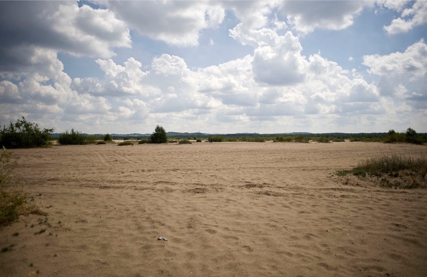 Część obszarów stanowi jednak sam piasek.