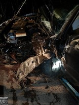 Wypadek w miejscowości Krąg. Auto uderzyło w drzewo [ZDJĘCIA]