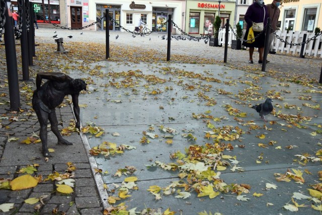 Są takie miejsce w Zielonej Górze, które dosłownie odstraszają. A najgorsze w tym wszystkim jest to, że znajdują się również w centrum miasta! Niszczejące budynku, śmieci, pozostałości po libacjach alkoholowych. Te rzeczy znajdują się w okolicach deptaka, miejsc kultury, zabytkowych i zadbanych kamienic. Nie tylko straszą, ale i szpecą okolicę, często przynosząc wstyd miastu, które tak chętnie odwiedzają turyści. Na naszej liście znalazło się znalazło się dziesięć takich miejsc w Zielonej Górze. Zobacz zdjęcia w galerii, klikając w nie i przesuwając strzałkami.Miejsca wstydu w Zielonej Górze - zobacz film:Polecamy również:-   Karkonosze widoczne z Zielonej Góry. Jesienna panorama gór z Winnego Grodu. Te zdjęcia zrobiono z odległości 140 km!-   Lubuskie. Krzystkowicki las pełen tajemnic. Jaką mroczną, krwawą historię skrywa fabryka amunicji z czasów wojny? Dlaczego ginęli tam ludzie