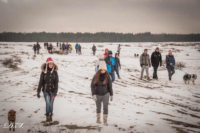 Psi spacer na Pustyni Błędowskiej z mikołajkowymi akcentami