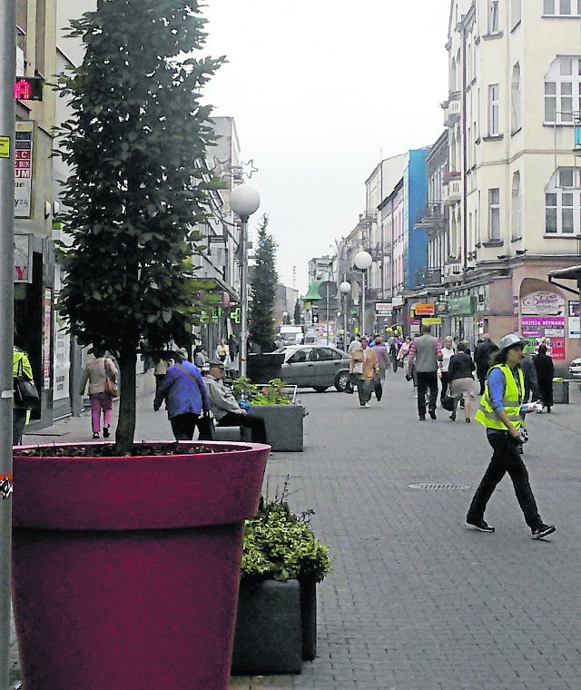 Donice z grabami zostaną na ulicy Modrzejowskiej na okres zimy. To mocne drzewa, które powinny przetrzymać tę porę roku