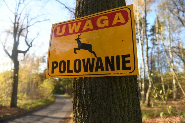 Nasza redakcja skontaktowała się z Zarządem Okręgowym Polskiego Związku Łowieckiego w Poznaniu. W czwartek, 15 lutego 2024 roku otrzymaliśmy odpowiedź w sprawie styczniowego zdarzenia w gminie Zbąszyń.