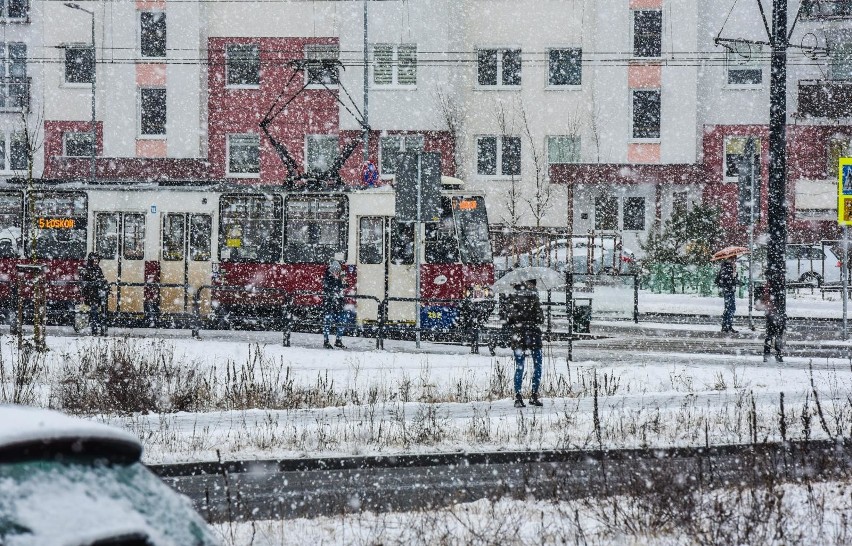 Zima 2018/2019 pogoda. Jaka będzie nadchodząca zima? Sprawdź...