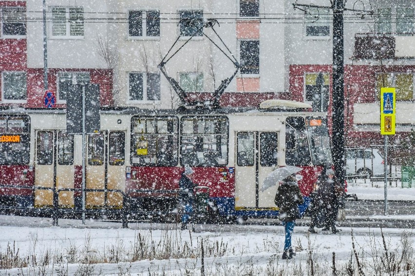 Zima 2018/2019 pogoda. Jaka będzie nadchodząca zima? Sprawdź...