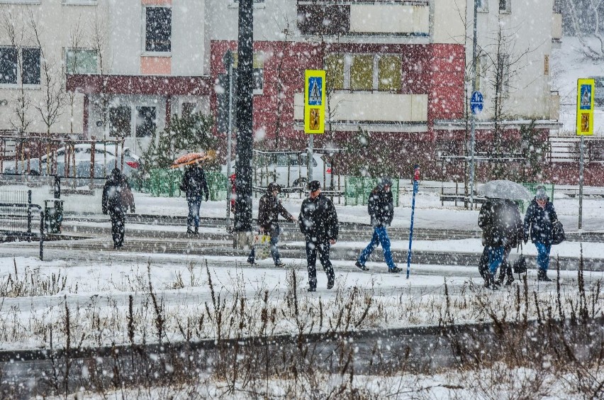 Zima 2018/2019 pogoda. Jaka będzie nadchodząca zima? Sprawdź...