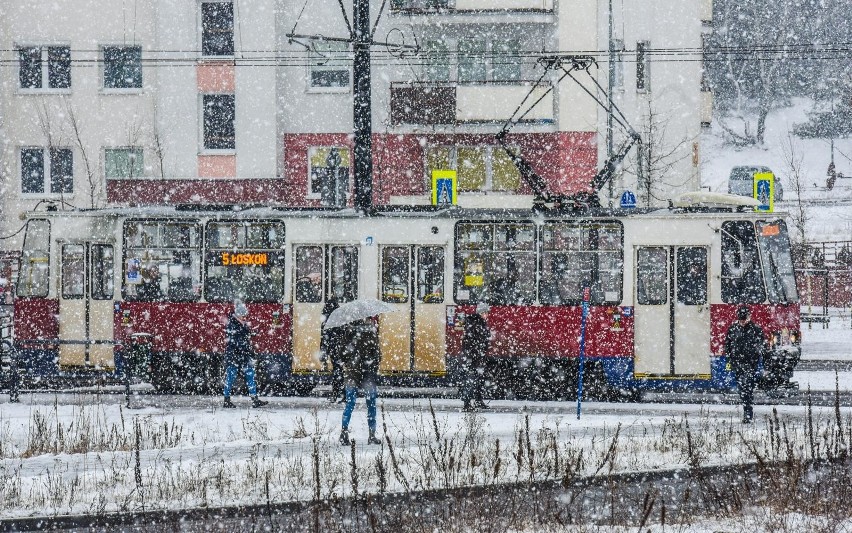 Zima 2018/2019 pogoda. Jaka będzie nadchodząca zima? Sprawdź...