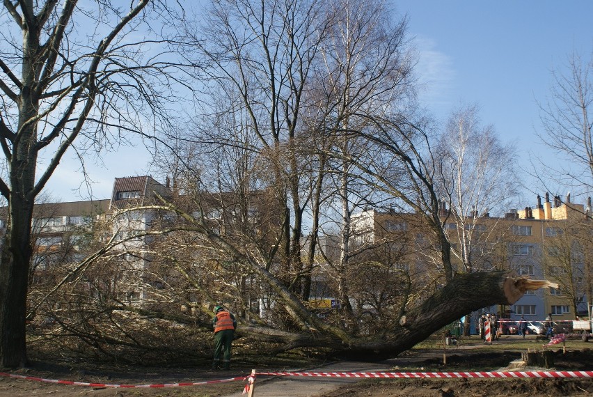 Przebudowa ul. Majakowskiego potrwa do października 2015...