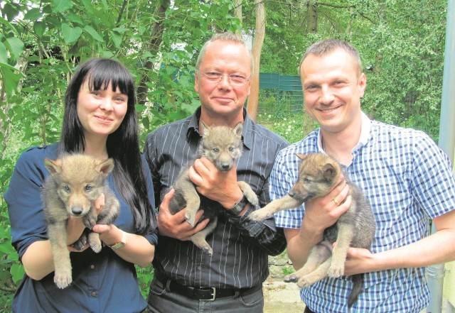 Małe wilczyce mają zaledwie kilka miesięcy. Do niedawna były karmione tylko mlekiem z butelek