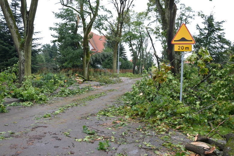 Tragedia w Suszku. Bilans nawałnicy, która przeszła nad...