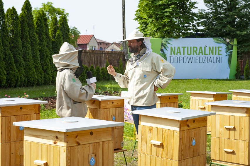 Co słychać w firmowej pasiece Dafi w Kielcach? Pszczoły mają tu dobre warunki do życia. Niebawem rozpoczną się przygotowania do zimy