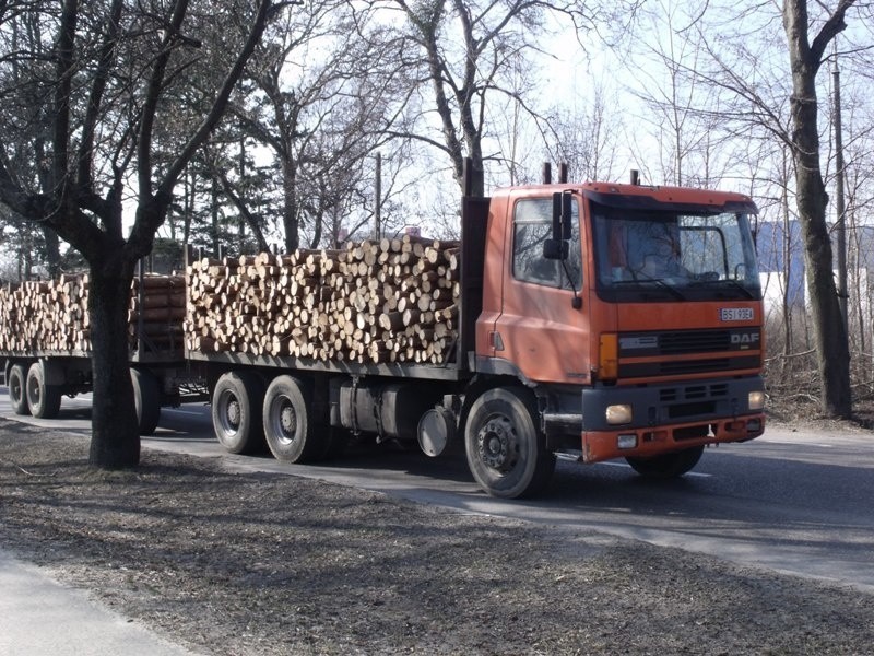 Protest przewoźników drewna