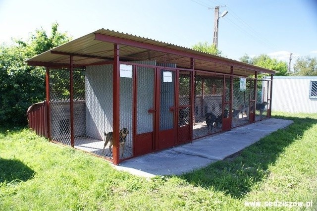 Tak wyglądają kojce w schronisku dla zwierząt w Borszowicach w gminie Sędziszów.