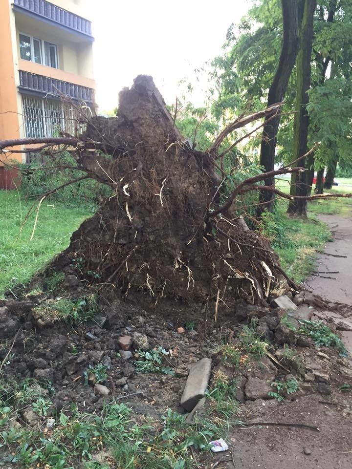 Burze na Śląsku i w Zagłębiu: kilka tysięcy osób bez prądu, powalone drzewa, uszkodzone dachy ZDJĘCIA