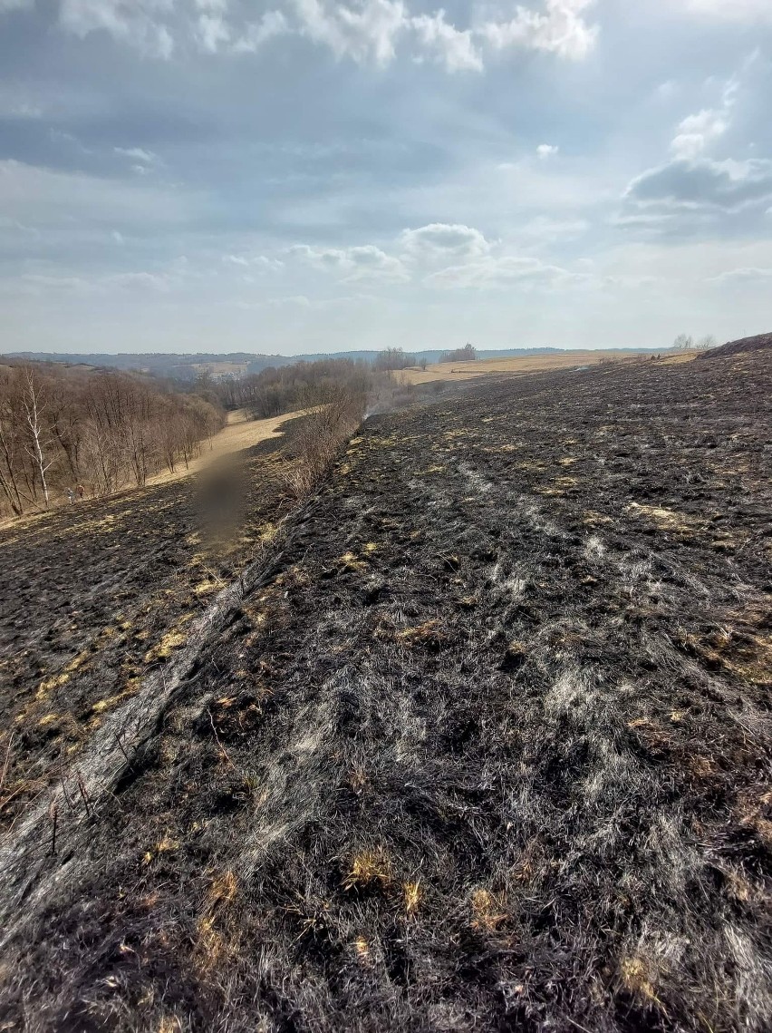 Rozległy pożar suchej trawy w Golcowej w powiecie brzozowskim [ZDJĘCIA]