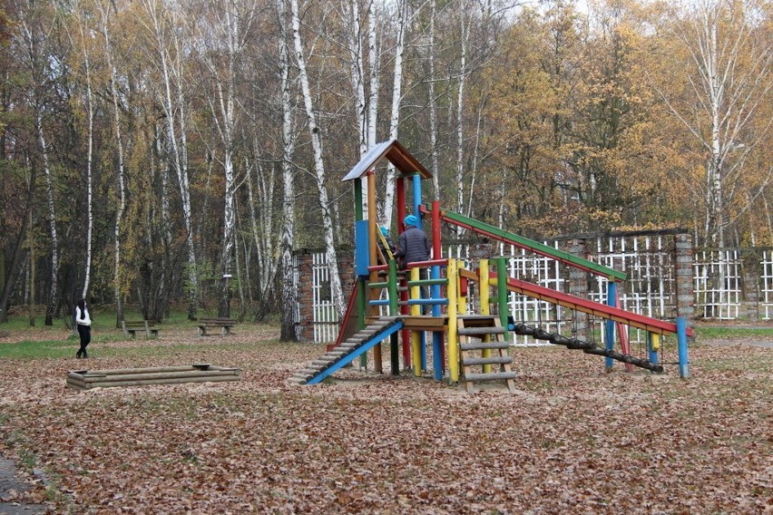 Tak wygląda park Zielona w jesiennych barwach