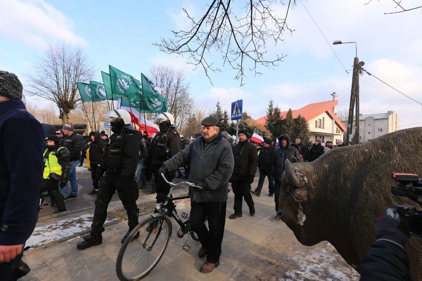 III Marsz Pamięci Żołnierzy Wyklętych w Hajnówce 2018. Policja użyła siły (zdjęcia, wideo)